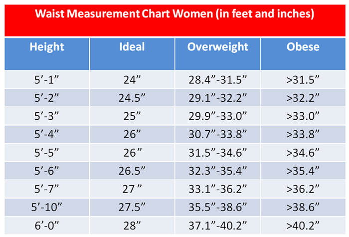 Waist Size Risks Chart for Women