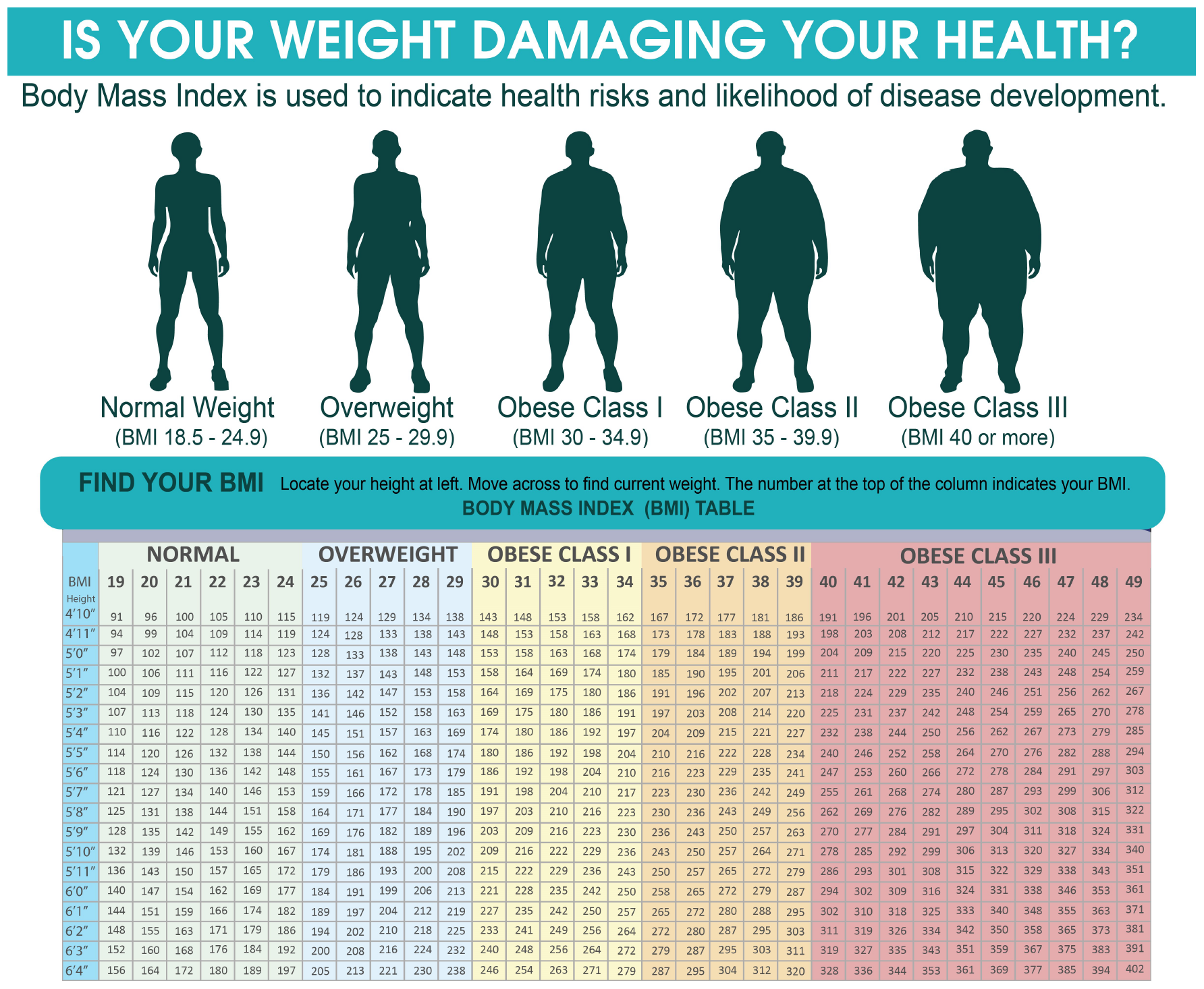 BMI Risk Chart Obesity Physician